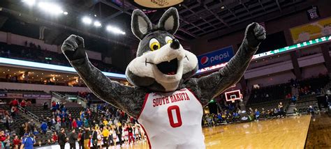 usd coyote cash|Iba pa.